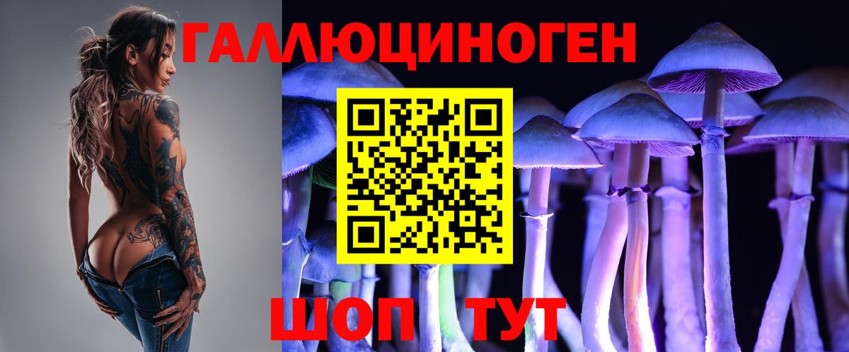 Галлюциногенные грибы GOLDEN TEACHER  Вход с VPN  Псилоцибиновые грибы прущие грибы  Фрязино 